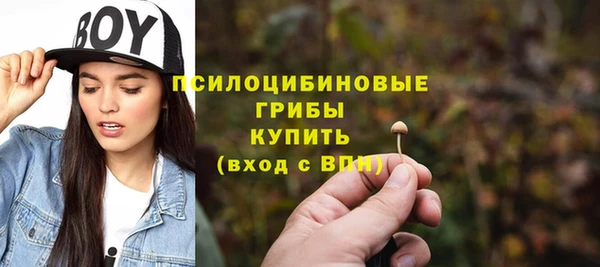 ALPHA PVP Алексин