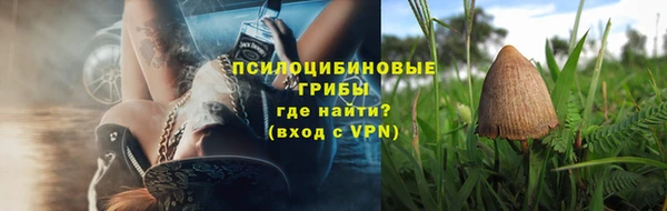 крисы Армянск