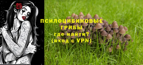 ALPHA PVP Алексин