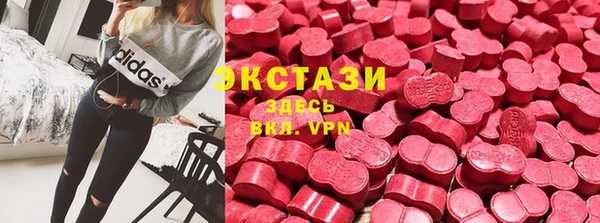 СК Арсеньев