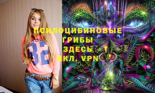 крисы Армянск